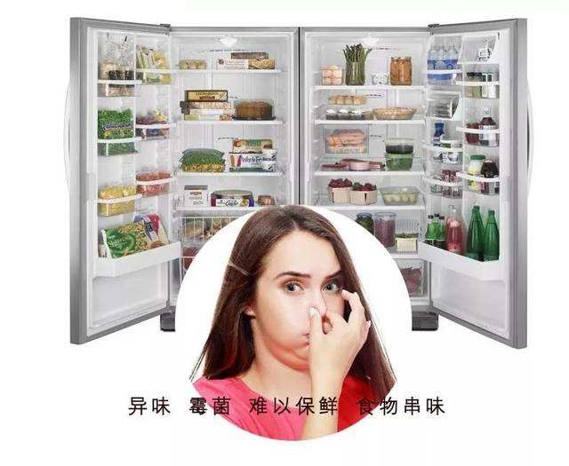 timg (8).jpg timg (8).jpg